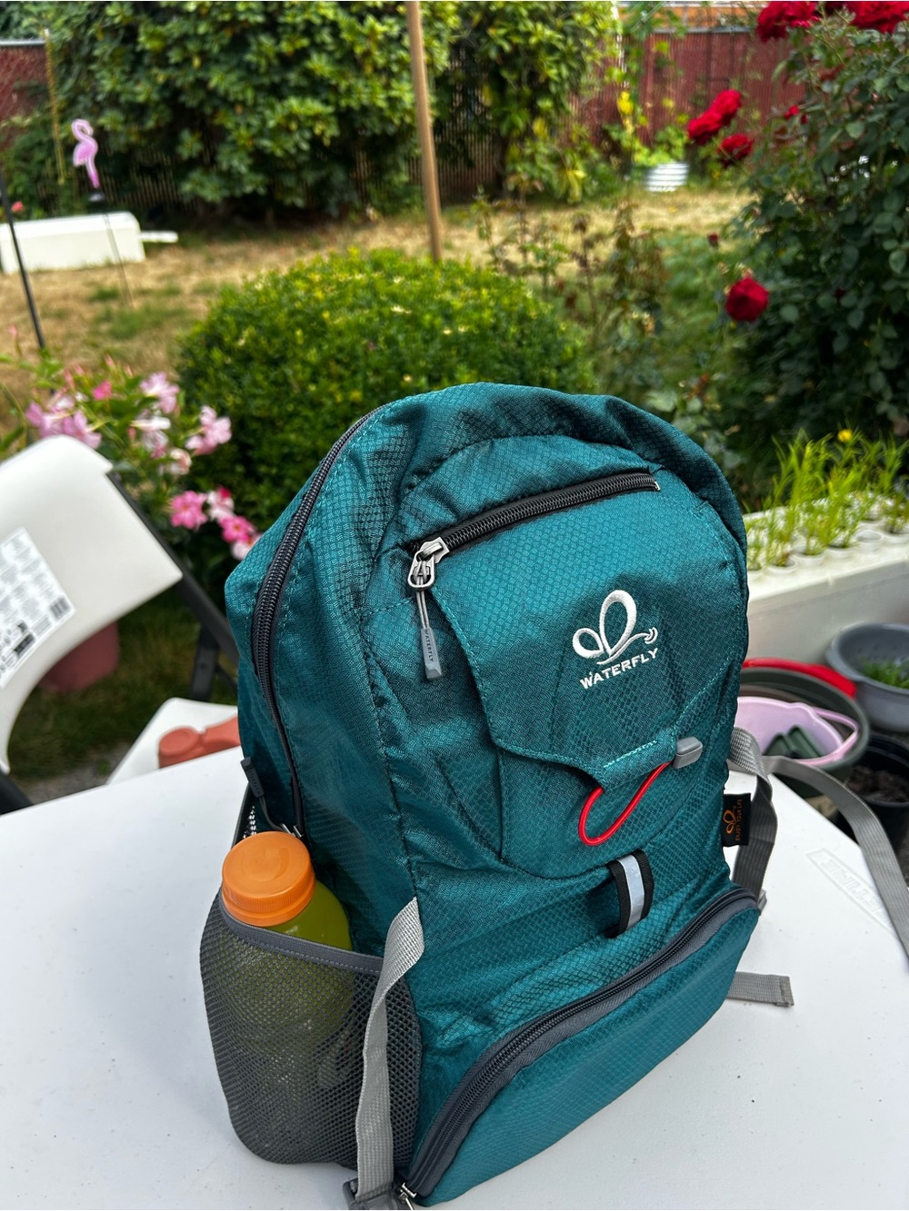 WaterFly Lightweight 20L Backpack - Ultra Light Foldable Travel Hiking Daypack
